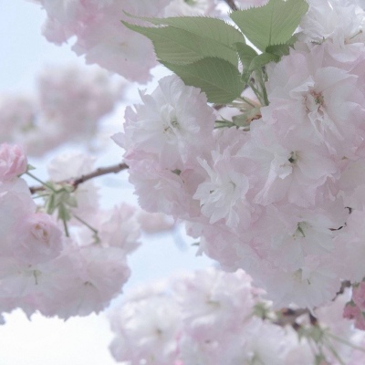 澧县FurryQQ群介绍